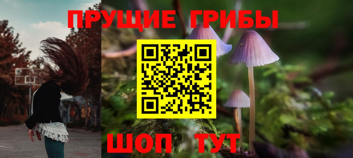 Галлюциногенные грибы GOLDEN TEACHER Кинель