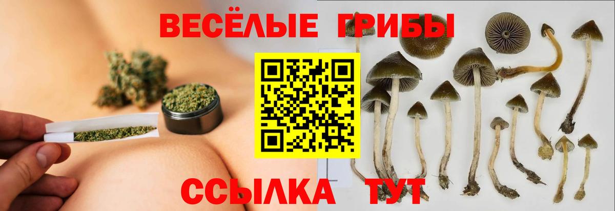 Псилоцибиновые грибы мицелий  Вход с VPN  Кинель 
